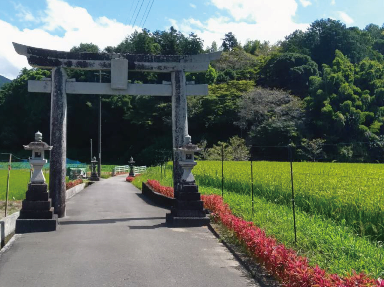 仁鳥石橋_03