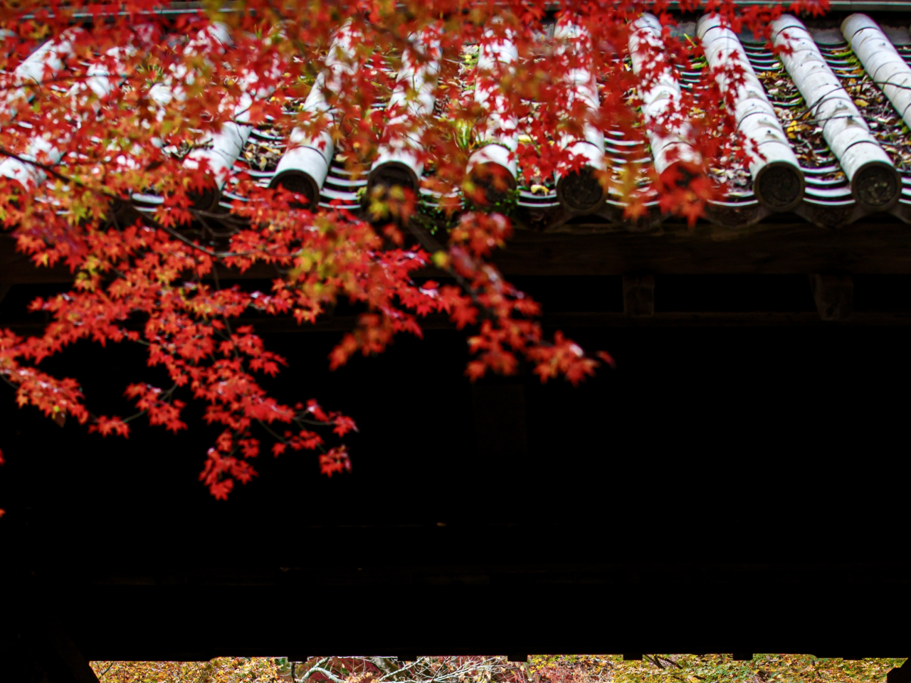 ©福岡県観光連盟_紅葉02