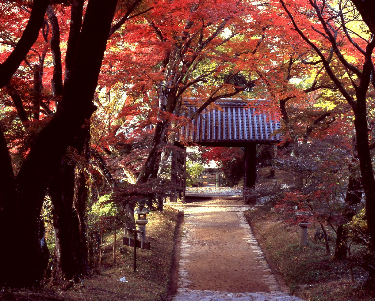 ©福岡県観光連盟_紅葉03