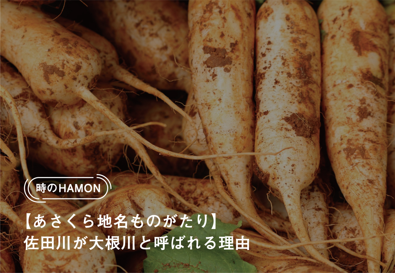 時のHAMON